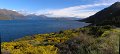 26 (16) Lake Wakatipu